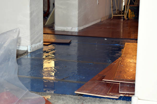 Professional Water Damage technician working in West Columbia, TX